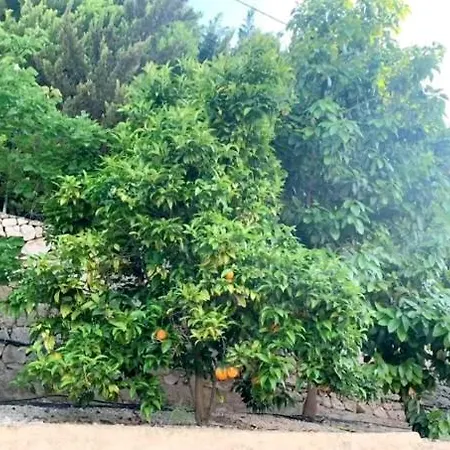 Margarita Holiday home *
