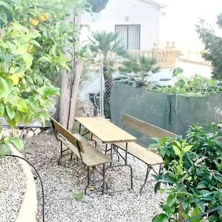 Margarita Denia